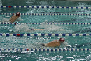 乐鱼体育(中国)官方网站-中国游泳运动员世锦赛接力项目表现抢眼，中国游泳接力夺金