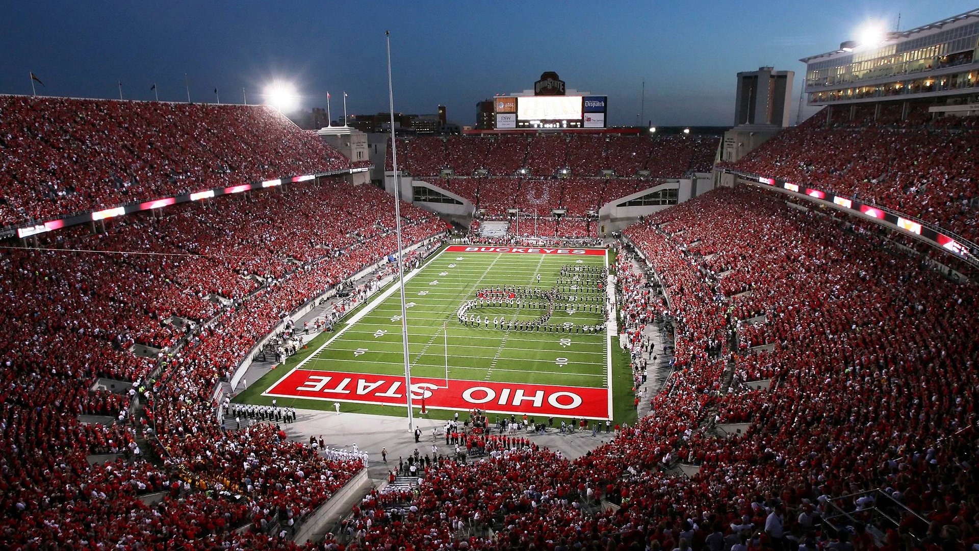 “埃尔斯·霍斯特:南非羚羊队的守护神”