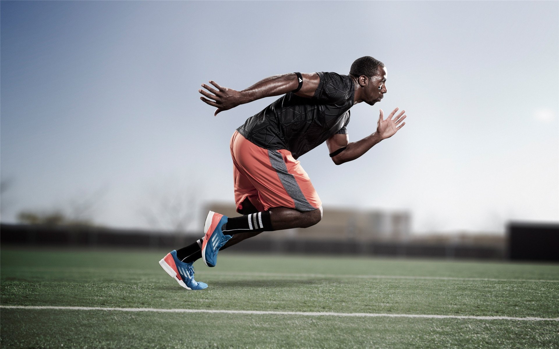 “美洲狮队在冠军赛中的坚韧表现令全世界震惊”